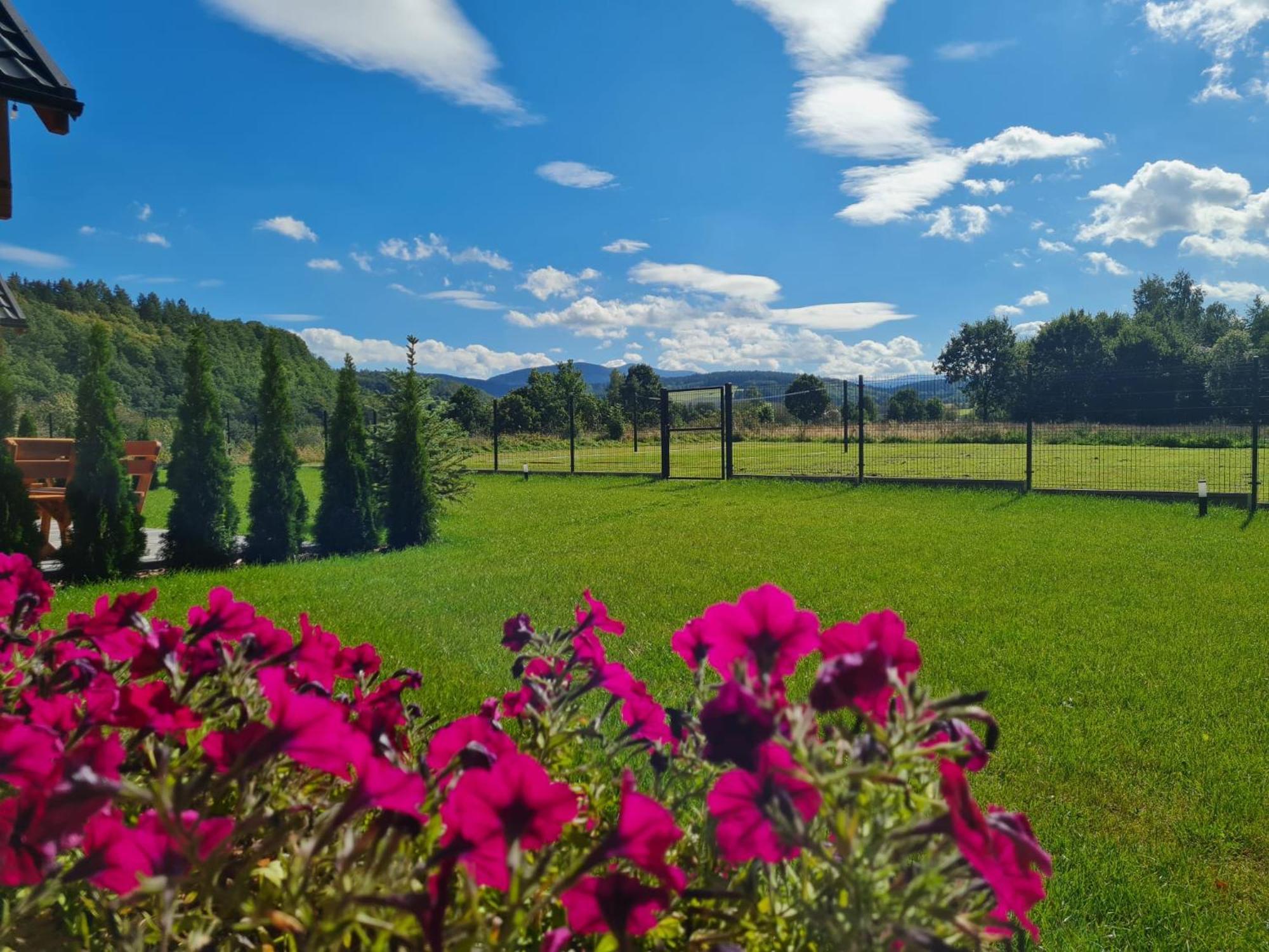 Sloneczne Domki Sudety - Domki Caloroczne Kotlina Klodzka Stary Waliszow Exterior foto